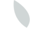 vector