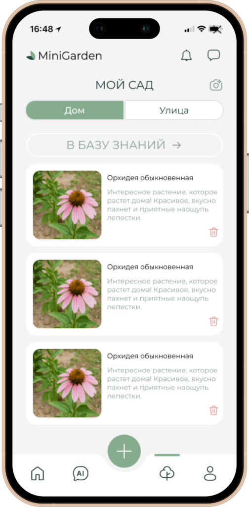 мой сад